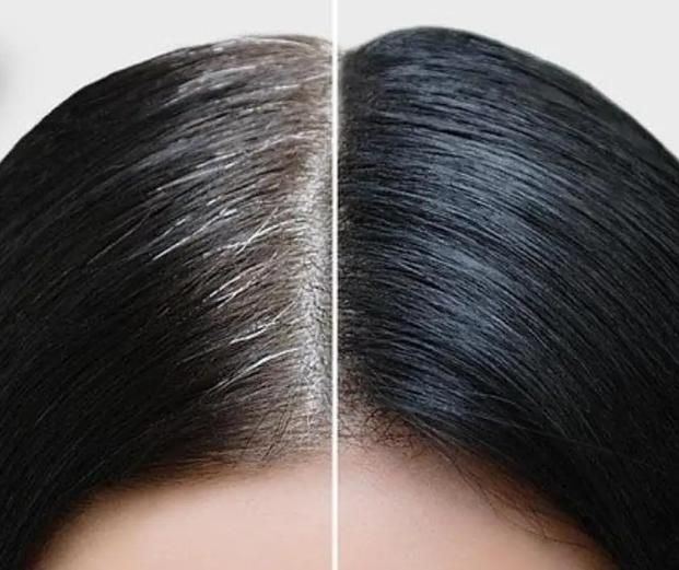 SleekShade Lipstick Hair Dye Pen – Instant Black Coverage